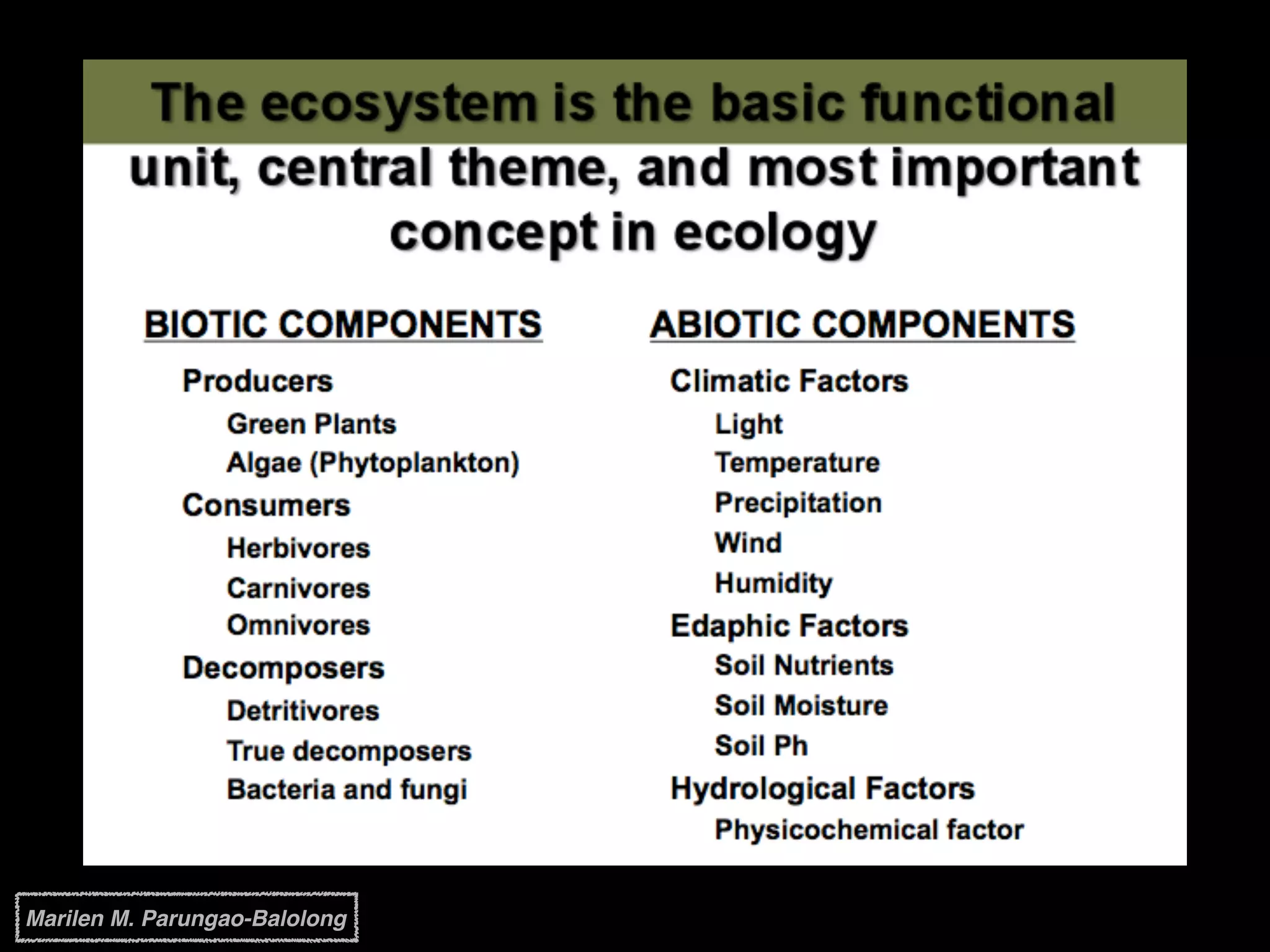 Marilen M. Parungao-Balolong
 