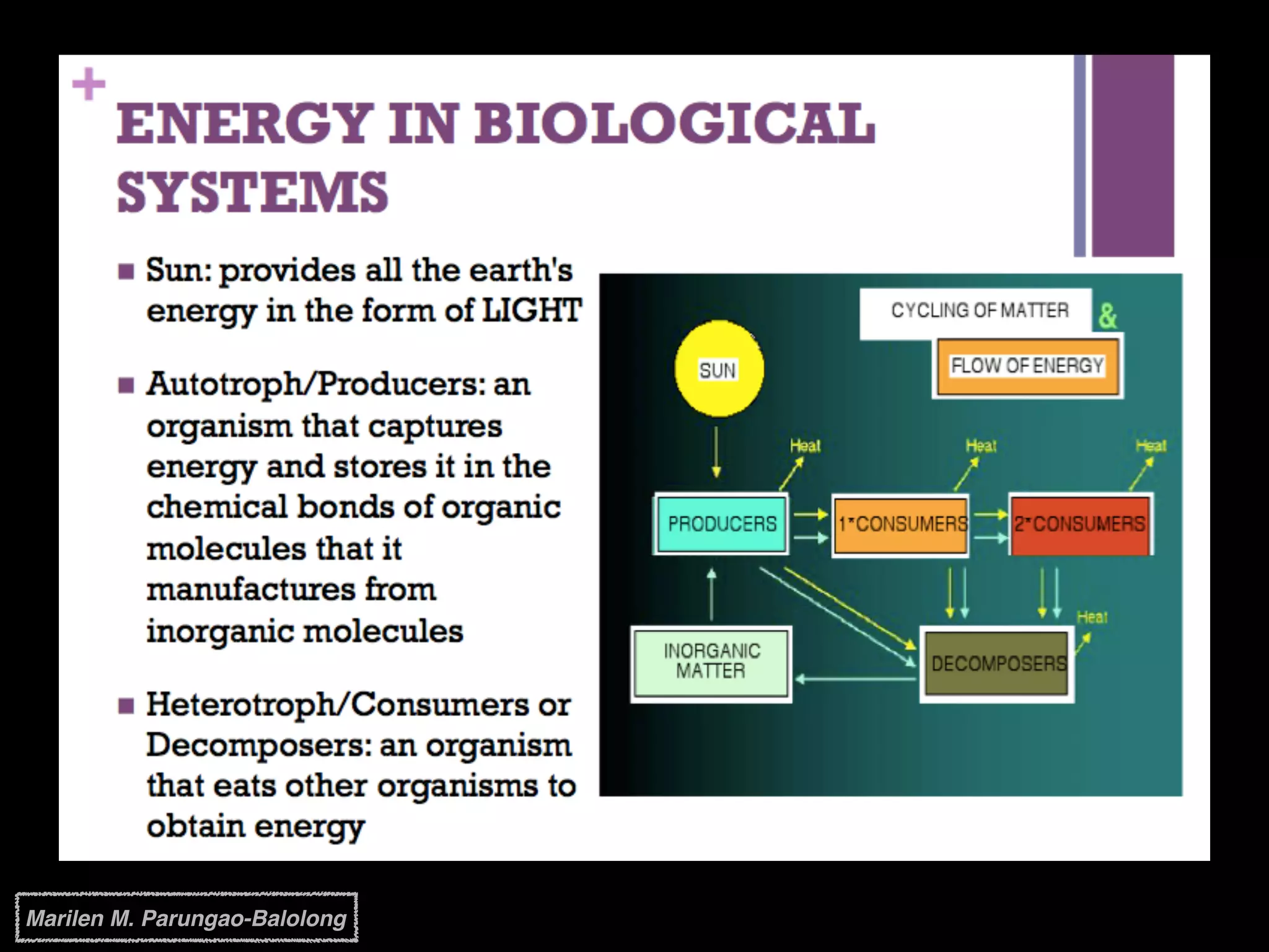Marilen M. Parungao-Balolong
 