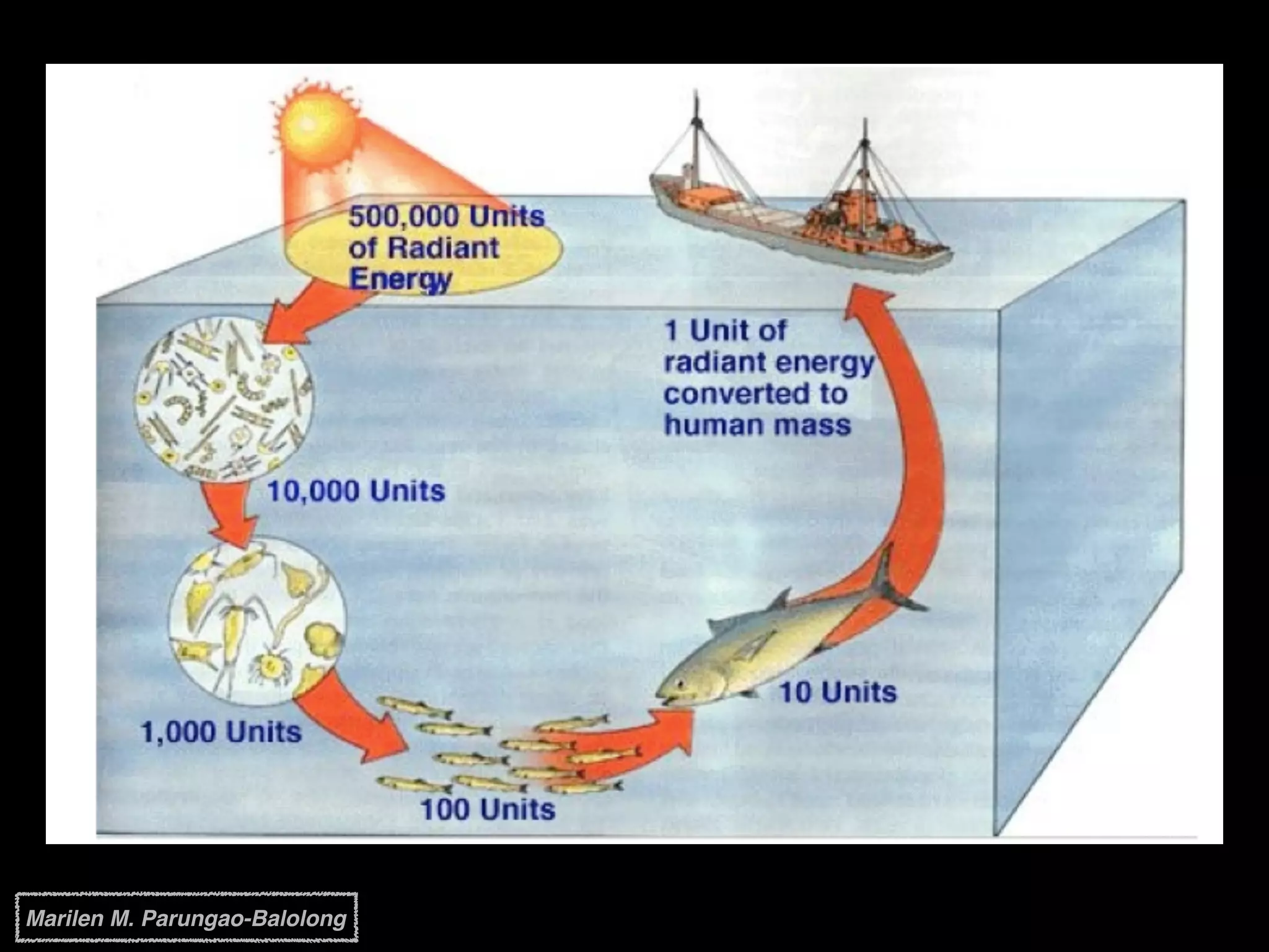 Marilen M. Parungao-Balolong
 