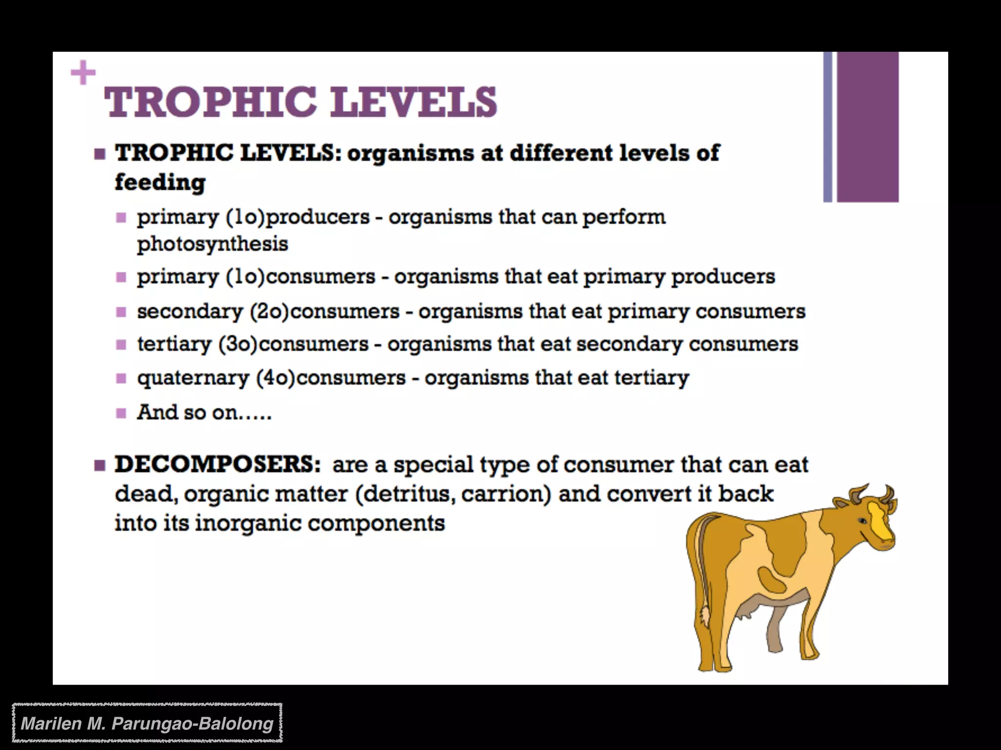 Marilen M. Parungao-Balolong
 