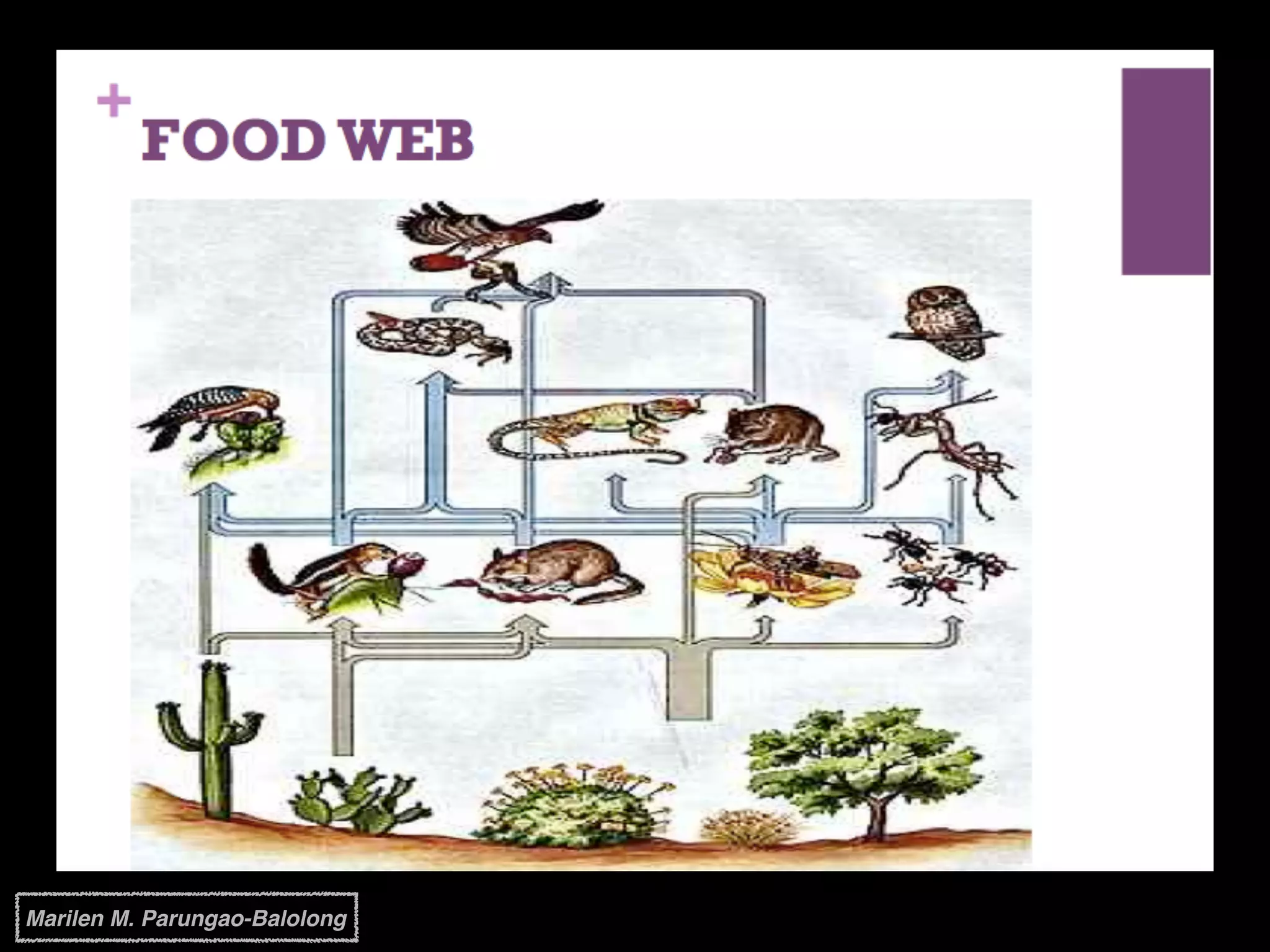 Marilen M. Parungao-Balolong
 