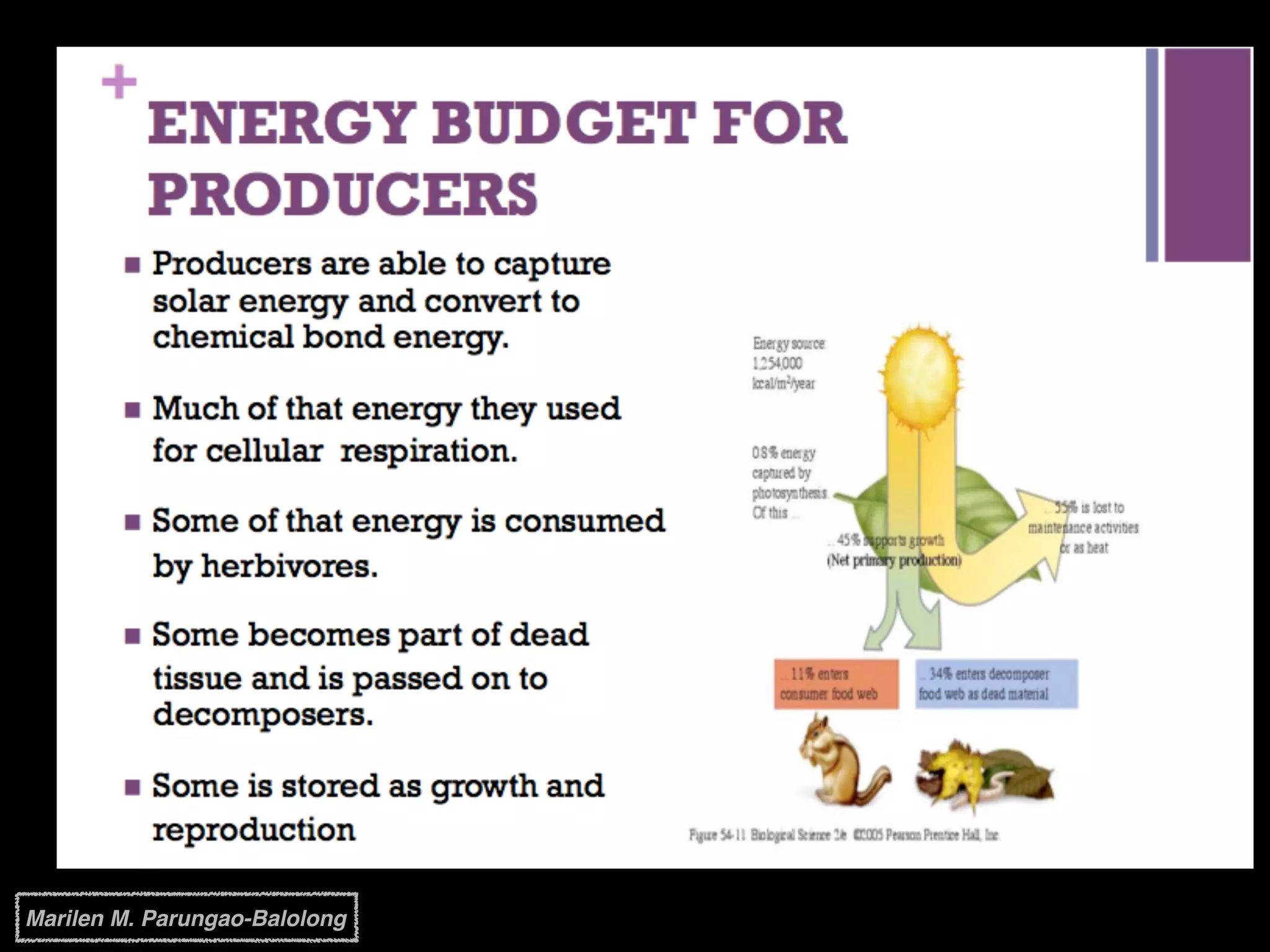Marilen M. Parungao-Balolong
 