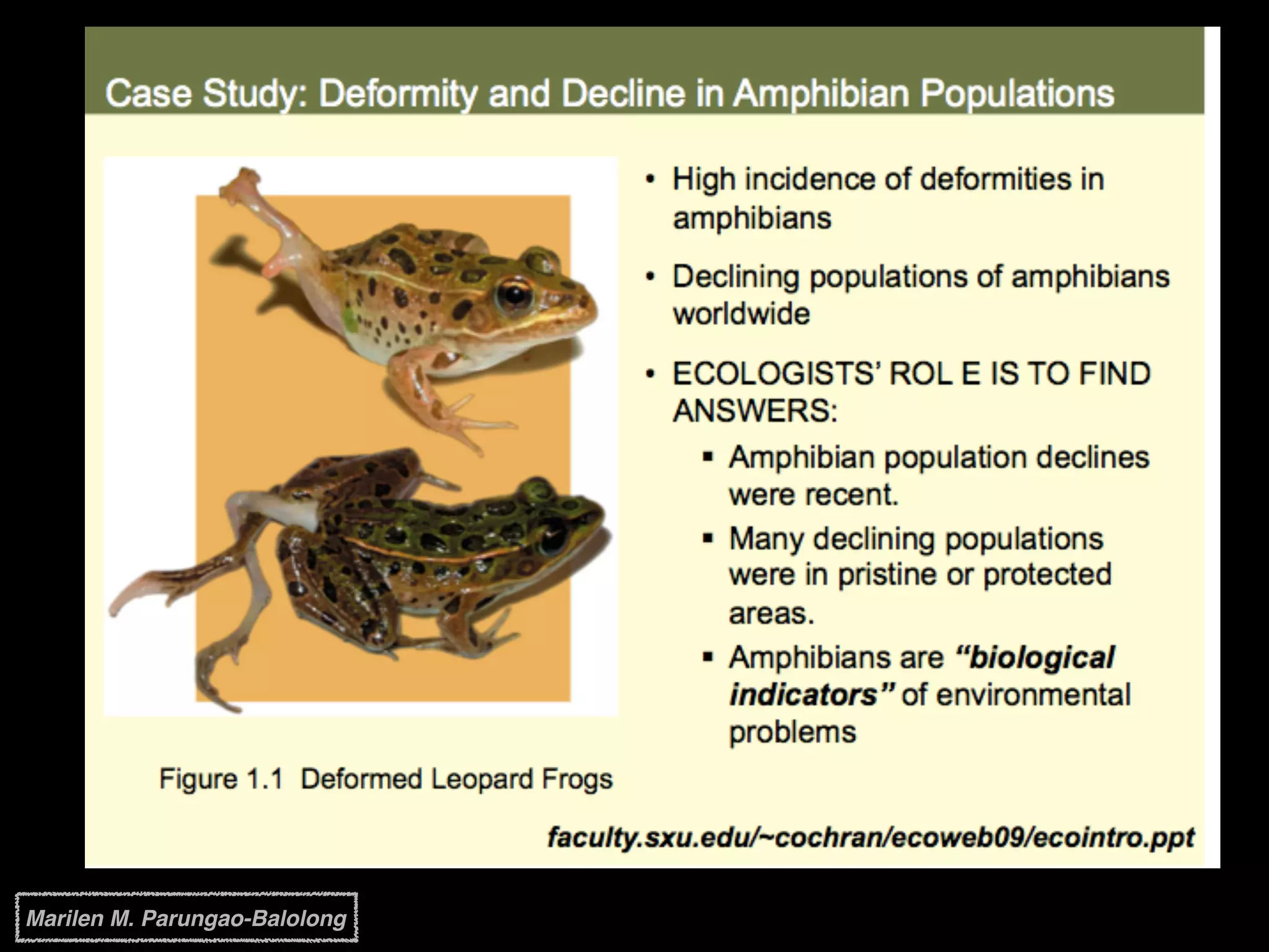 Marilen M. Parungao-Balolong
 