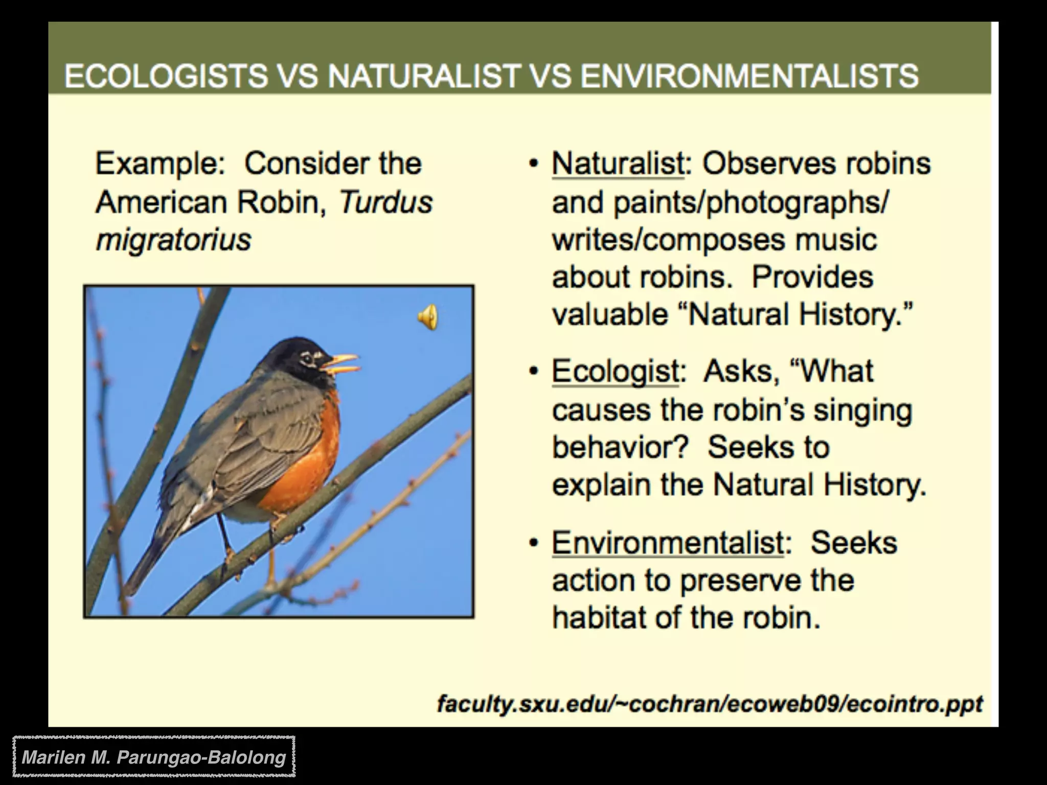 Marilen M. Parungao-Balolong
 