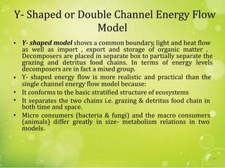 Y- Shaped or Double Channel Energy Flow
Model
• Y- shaped model shows a common boundary, light and heat flow
Decomposers are placed in separate box to partially separate the
grazing and detritus food chains. In terms of energy levels
decomposers are in fact a mixed group.
Y- shaped energy flow is more realistic and practical than the
as well as import , export and storage of organic matter .
•
single channel energy flow model because:
It conforms to the basic stratified structure of ecosystems
It separates the two chains i.e. grazing & detritus food chain in
•
•
both time and space.
Micro consumers (bacteria & fungi) and the macro consumers
models.
•
(animals) differ greatly in size- metabolism relations in two
16
 