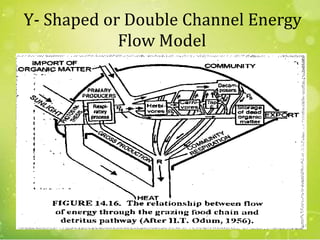 Y- Shaped or Double Channel Energy
Flow Model
17
 
