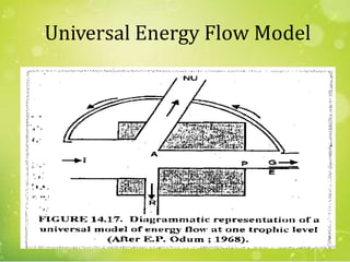 Universal Energy Flow Model
19
 