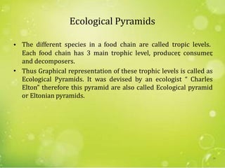 Ecological Pyramids
• The different species in a food chain are called tropic levels.
Each food chain has 3 main trophic level, producer, consumer,
and decomposers.
Thus Graphical representation of these trophic levels is called as
Ecological Pyramids. It was devised by an ecologist “ Charles
Elton” therefore this pyramid are also called Ecological pyramid
or Eltonian pyramids.
•
20
 