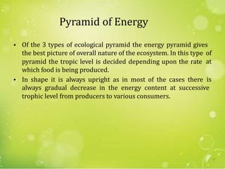 Pyramid of Energy
• Of the 3 types of ecological pyramid the energy pyramid gives
the best picture of overall nature of the ecosystem. In this type
pyramid the tropic level is decided depending upon the rate
which food is being produced.
In shape it is always upright as in most of the cases there
of
at
• is
always gradual decrease in the energy content at successive
trophic level from producers to various consumers.
27
 