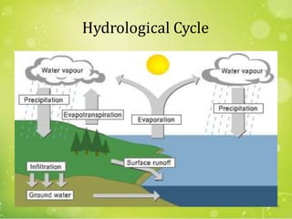 Hydrological Cycle
32
 