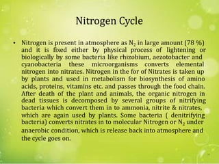 Nitrogen Cycle
• Nitrogen is present in atmosphere as N2 in large amount (78 %)
and it is fixed either by physical process of lightening or
biologically by some bacteria like rhizobium, aezotobacter and
cyanobacteria these microorganisms converts elemental
nitrogen into nitrates. Nitrogen in the for of Nitrates is taken up
by plants and
acids, proteins,
After death of
used in metabolism for biosynthesis of amino
vitamins etc. and passes through the food chain.
the plant and animals, the organic nitrogen in
dead tissues is decomposed by several groups of nitrifying
bacteria which convert them in to ammonia, nitrite & nitrates,
which are again used by plants. Some bacteria ( denitrifying
bacteria) converts nitrates in to molecular Nitrogen or N2 under
anaerobic condition, which is release back into atmosphere and
the cycle goes on.
39
 