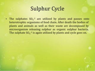 Sulphur Cycle
• SO4
-2The sulphates are utilized by plants and passes onto
heterotrophic organisms of food chain. After death the bodies of
plants and animals as well as their waste are decomposed by
microorganism releasing sulphur as organic sulphur bacteria.
SO4
-2The sulphate is again utilized by plants and cycle goes on.
42
 