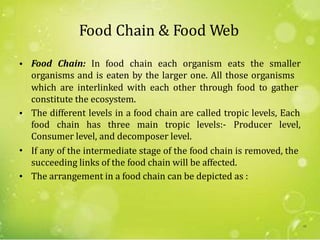 Food Chain & Food Web
• Food Chain: In food chain each organism eats the smaller
organisms and is eaten by the larger one. All those organisms
which are interlinked with each other through food to gather
constitute the ecosystem.
The different levels in a food chain are called tropic levels, Each•
food chain has three main tropic levels:- Producer level,
Consumer level, and decomposer level.
If any of the intermediate stage of the food chain is removed, the
succeeding links of the food chain will be affected.
The arrangement in a food chain can be depicted as :
•
•
48
 