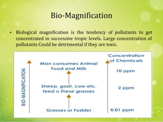 Bio-Magnification
• Biological magnification is the tendency of pollutants to get
concentrated in successive tropic levels. Large concentration of
pollutants Could be detrimental if they are toxic.
54
 