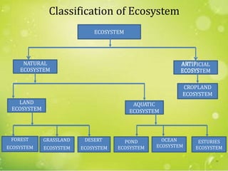 Classification of Ecosystem
ECOSYSTEM
ESTURIES
YSTEMECOSYSTEMECOSYSTEMECOSYSTEM
ARTIFICIAL
ECOSYSTEM
CROPLAND
ECOSYSTEM
NATURAL
ECOSYSTEM
ARTIF
ECOSYS
CR
ECOSYS
LAND
ECOSYSTEM
AQUATIC
FOREST GRASSLAND DESERT POND
ECOSYSTEM
OCEAN
ECOSYSTEM
ES
ECOS
ECOSYSTEM
56
 