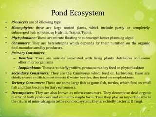 Pond Ecosystem
Producers are of following type
Macrophytes: these are large rooted plants, which include partly or completely
submerged hydrophytes, eg Hydrilla, Trapha, Typha.
Phytoplankton: These are minute floating or submerged lower plants eg algae.
Consumers: They are heterotrophs which depends for their nutrition on the organic
food manufactured by producers.
Primary Consumers:
•
•
•
•
•
– Benthos: These are animals associated with living plants ,detrivores and some
other microorganisms
Zooplanktons: These are chiefly rotifers, protozoans, they feed on phytoplankton–
• Secondary Consumers: They are the Carnivores which feed on herbivores, these are
chiefly insect and fish, most insects & water beetles, they feed on zooplanktons.
Tertiary Consumers: These are some large fish as game fish, turtles, which feed on small
fish and thus become tertiary consumers.
Decomposers: They are also known as micro-consumers. They decompose dead organic
matter of both producers and animal to simple form. Thus they play an important role in
the return of minerals again to the pond ecosystem, they are chiefly bacteria, & fungi.
•
•
60
 