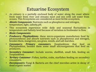Estuarine Ecosystem
An estuary is a partially enclosed body of water along the coast where
oceans. This Ecosystems are considered as most fertile ecosystem.
Abiotic Components: Nutrients such as phosphorus and nitrogen,
•
fresh water from river and streams meet and mix with salt water from
•
temperature, light, salinity, pH.
• This ecosystem experience wide daily and seasonal fluctuations in
temperature and Salinity level because of variation in freshwater in flow.
Biotic Components:•
• Producers: Phyplanktons- these micro-organisms manufacture food by
besides them, mangroves, sea grass, weeds, and salt marshes.
photosynthesis and absorb nutrients such as phosphorous and nitrogen,
• Consumers: Primary consumers, Zooplanktons that feed on
Phytoplankton, besides them some small microorganisms that feed on
producers.
• Secondary Consumer: Include worms, shellfish, small fish, feeding on
Zooplanktons
Tertiary Consumer :Fishes, turtles, crabs, starfishes feeding on secondary•
consumers.
Decomposers: Fungi & Bacteria are the chief microbes active in decay of•
dead organic matter.
64
 