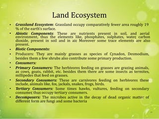 Land Ecosystem
Grassland Ecosystem: Grassland occupy comparatively fewer area roughly 19•
% of the earth’s surface.
• Abiotic Components: These are nutrients present in soil, and aerial
environment, thus the elements like, phosphates, sulphates, water, carbon
dioxide, present in soil and in air. Moreover some trace elements are also
present.
Biotic Components:
Producers: They are mainly grasses as species of Cynadon, Desmodium,
•
•
besides them a few shrubs also contribute some primary production.
Consumers:
Primary Consumers: The herbivores feeding on grasses are grazing animals,
millipedes that feed on grasses.
Secondary Consumers: These are carnivores feeding on herbivores these
•
•
as cows, goats, rabbit, etc. besides them there are some insects as termites,
•
include, animals like, fox, jackals, snakes, frogs, birds.
Tertiary Consumers: Some times hawks, vultures, feeding on secondary•
consumer, thus occupy tertiary consumers.
Decomposers: The microbes active in the decay of dead organic matter of•
different form are fungi and some bacteria
68
 
