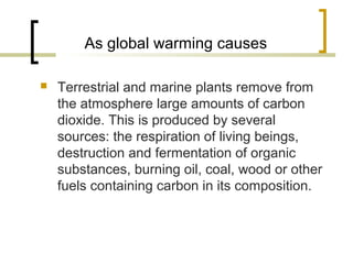 As global warming causes
 Terrestrial and marine plants remove from
the atmosphere large amounts of carbon
dioxide. This is produced by several
sources: the respiration of living beings,
destruction and fermentation of organic
substances, burning oil, coal, wood or other
fuels containing carbon in its composition.
 