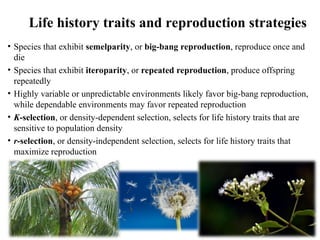 Ecology and Environment - Basic concepts.ppt