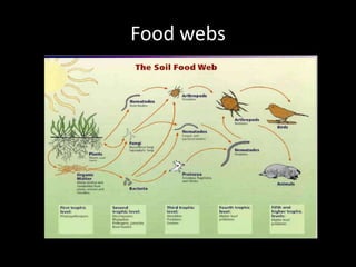 Food webs
 