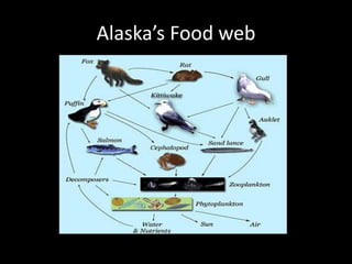 Alaska’s Food web
 