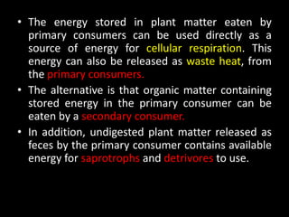 • The energy stored in plant matter eaten by
  primary consumers can be used directly as a
  source of energy for cellular respiration. This
  energy can also be released as waste heat, from
  the primary consumers.
• The alternative is that organic matter containing
  stored energy in the primary consumer can be
  eaten by a secondary consumer.
• In addition, undigested plant matter released as
  feces by the primary consumer contains available
  energy for saprotrophs and detrivores to use.
 
