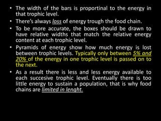 • The width of the bars is proportinal to the energy in
  that trophic level.
• There’s always loss of energy trough the food chain.
• To be more accurate, the boxes should be drawn to
  have relative widths that match the relative energy
  content at each trophic level.
• Pyramids of energy show how much energy is lost
  between trophic levels. Typically only between 5% and
  20% of the energy in one trophic level is passed on to
  the next.
• As a result there is less and less energy available to
  each succesive trophic level. Eventually there is too
  little energy to sustain a population, that is why food
  chains are limited in lenght.
 