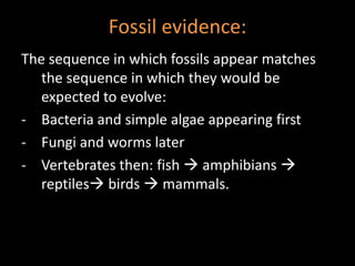 Fossil evidence:
The sequence in which fossils appear matches
   the sequence in which they would be
   expected to evolve:
- Bacteria and simple algae appearing first
- Fungi and worms later
- Vertebrates then: fish  amphibians 
   reptiles birds  mammals.
 