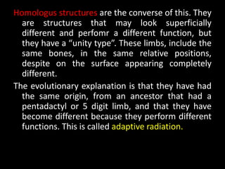Homologus structures are the converse of this. They
  are structures that may look superficially
  different and perfomr a different function, but
  they have a “unity type”. These limbs, include the
  same bones, in the same relative positions,
  despite on the surface appearing completely
  different.
The evolutionary explanation is that they have had
  the same origin, from an ancestor that had a
  pentadactyl or 5 digit limb, and that they have
  become different because they perform different
  functions. This is called adaptive radiation.
 