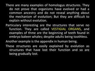 There are many examples of homologus structures. They
  do not prove that organisms have evolved or had a
  common ancestry and do not reveal anything about
  the mechanism of evolution; But they are difficult to
  explain without evolution.
Particulary interesting are the structures that serve no
  function. They are called VESTIGIAL ORGANS, and
  examples of thme are the beginning of teeth found in
  embryo baleen whales; despite adults being toothless.
Another example is the appendix in human being.
These structures are easily explained by evolution as
  structures that have lost their function and so are
  being gradually lost.
 