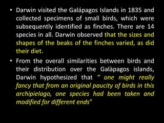• Darwin visited the Galápagos Islands in 1835 and
  collected specimens of small birds, which were
  subsequently identified as finches. There are 14
  species in all. Darwin observed that the sizes and
  shapes of the beaks of the finches varied, as did
  their diet.
• From the overall similarities between birds and
  their distribution over the Galàpagos islands,
  Darwin hypothesized that “ one might really
  fancy that from an original paucity of birds in this
  archipielago, one species had been taken and
  modified for different ends”
 