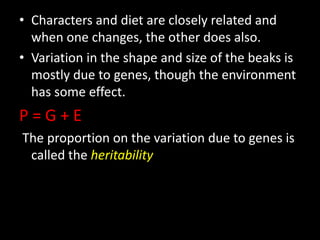 • Characters and diet are closely related and
  when one changes, the other does also.
• Variation in the shape and size of the beaks is
  mostly due to genes, though the environment
  has some effect.
P=G+E
The proportion on the variation due to genes is
 called the heritability
 