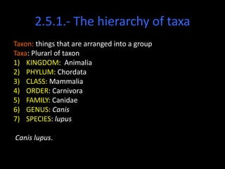 2.5.1.- The hierarchy of taxa
Taxon: things that are arranged into a group
Taxa: Plurarl of taxon
1) KINGDOM: Animalia
2) PHYLUM: Chordata
3) CLASS: Mammalia
4) ORDER: Carnivora
5) FAMILY: Canidae
6) GENUS: Canis
7) SPECIES: lupus

Canis lupus.
 