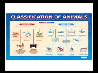 5. Ecology and evolution