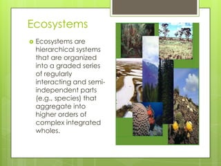 Ecosystems
   Ecosystems are
    hierarchical systems
    that are organized
    into a graded series
    of regularly
    interacting and semi-
    independent parts
    (e.g., species) that
    aggregate into
    higher orders of
    complex integrated
    wholes.
 