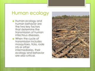 Human ecology
   Human ecology and
    human behavior are
    the two key factors
    that determine the
    transmission of human
    infectious diseases.
   When the cycle of
    transmission includes
    mosquitoes, ticks, rode
    nts or other
    intermediaries, their
    ecology and behavior
    are also critical.
 