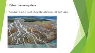 Ecology and types of ecosystem, factors and energy flowpptx | PPTX