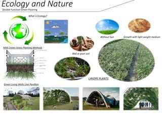 Ecology and NatureDouble Function Green Flooring
What is Ecology?
Milk Crates Grass Planting Methods
LIRIOPE PLANTS
Bad or poor soil
Without Sun Growth with light weight medium
Green Living Walls Line Pavillion
 