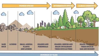 Concept of community and sampling methods | PPTX