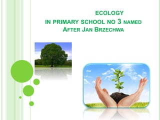ECOLOGY
IN PRIMARY SCHOOL NO 3 NAMED
AFTER JAN BRZECHWA
 