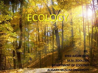 ECOLOGY
BY;
SYED AASIM HAQ
M.Sc. ZOOLOGY
DEPARTMENT OF ZOOLOGY
ALIGARH MUSLIM UNIVERSITY
 