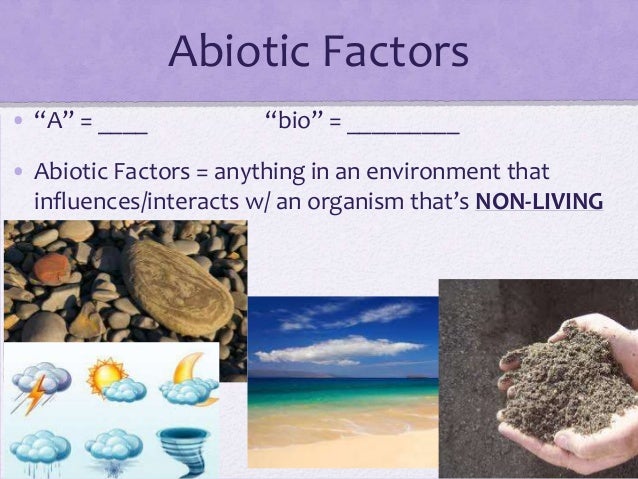 biosphere of examples mixtures in the Ecology 3 chapter