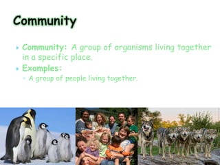    Community: A group of organisms living together
    in a specific place.
   Examples:
    ◦ A group of people living together.
 
