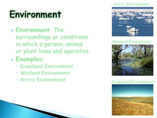 Arctic Environment




   Environment: The
    surroundings or conditions
                                   Wetland Environment
    in which a person, animal
    or plant lives and operates.
   Examples:
    ◦ Grassland Environment
    ◦ Wetland Environment
    ◦ Arctic Environment           Grassland Environment
 