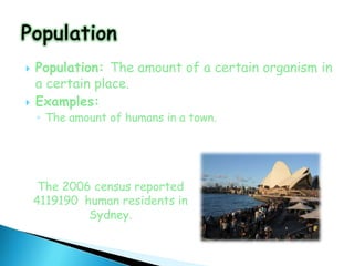    Population: The amount of a certain organism in
    a certain place.
   Examples:
    ◦ The amount of humans in a town.




     The 2006 census reported
    4119190 human residents in
             Sydney.
 