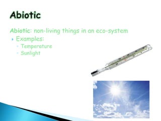 Abiotic: non-living things in an eco-system
 Examples:
  ◦ Temperature
  ◦ Sunlight
 