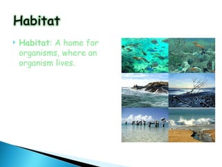    Habitat: A home for
    organisms, where an
    organism lives.
 