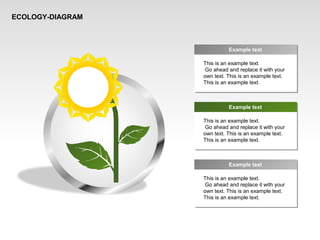 ECOLOGY-DIAGRAM
This is an example text.
Go ahead and replace it with your
own text. This is an example text.
This is an example text.
Example text
This is an example text.
Go ahead and replace it with your
own text. This is an example text.
This is an example text.
Example text
This is an example text.
Go ahead and replace it with your
own text. This is an example text.
This is an example text.
Example text
 