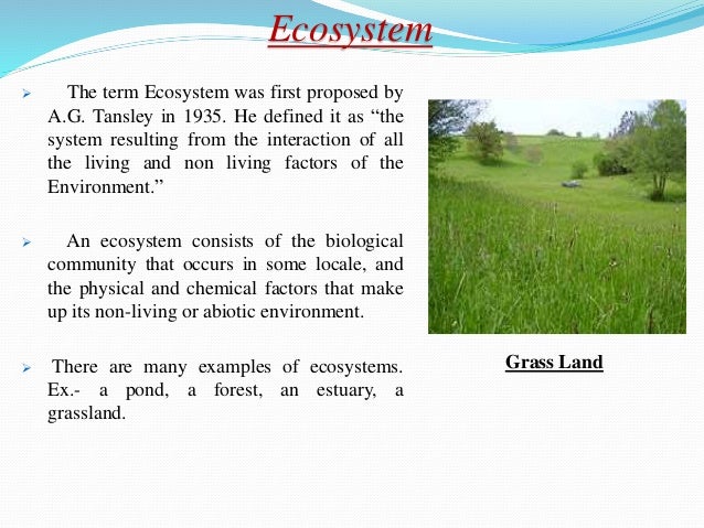 Grassland research proposal 04 image